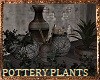 ☙ Forgotten Plants