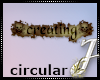 Creating| PirateCircular