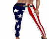 LGBT USA Flag Pants