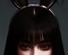 Moder'n Black Bunny Ears