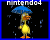 Duck, rain
