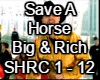 Save A Horse Big&Rich