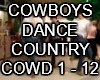 Cowboys Dance Country