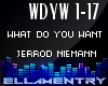 What Do You Want-JerrodN