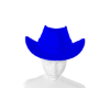  Blue Hat