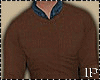 Fall Brown Sweater Wool