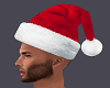 Holiday Hat