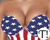 T! 4th July Party Set 2