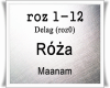 Roza/Maanam