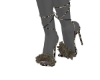 v. Chan Heels