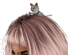 Kitty  Head Animate Grey