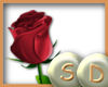 Long Red Rose Sticker