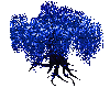 Blue Passion Willow Tree