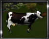 Animated Cow