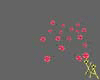 X♡A Roses on the Floor