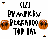 (IZ) Pumpkin Peekaboo