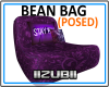 Bean Bag Seat (posed)
