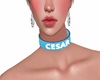 Collar princip. Cesar