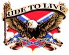 [DF]Ride to live trans 2