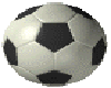 The Soccer Ball