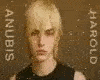 Anubis Blonde Hair