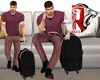 🦁 Suitcase M