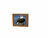 bald eagle frame mp