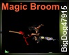 [BD] Magic Broom