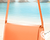 🤍 Rosie Bag Orange