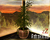 zZ Forever Tree Pot