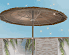 Tropic Beach Loungers