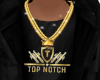 TopNotch Custom