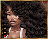1 -Munroe II *Black