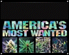 AMW Weed Poster