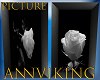 PICTURE: White Roses