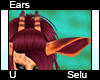 Selu Ears