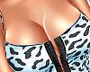NEW Sofia Set