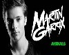 Martin Garrix (ani)