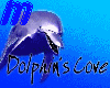 Dolphins Cove