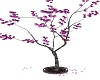 SHUTUP AND KISS ME TREE