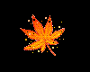 Tiny Autumn Leaf #1