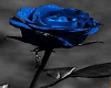 Anim Goth Rose