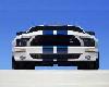 oMo Ford GT500 Mustang