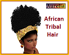 African Tribal Hair 2