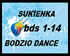 SUKIENKA-BODZIO DANCE