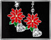 â£Birth Flower December