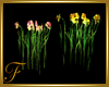 F: Flowers Spring