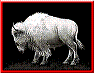 buffalo rug