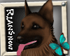 {RS}German Shepherd Dog
