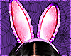 bunny boo ears
